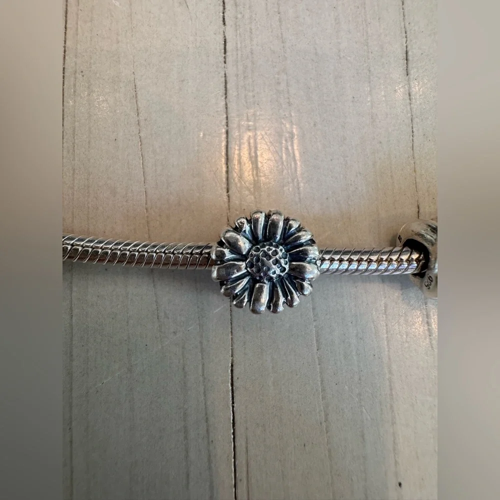Biagi/Pandora 925 Sterling Silver Snake Bracelet with Vintage Charms - Picture 9 of 15